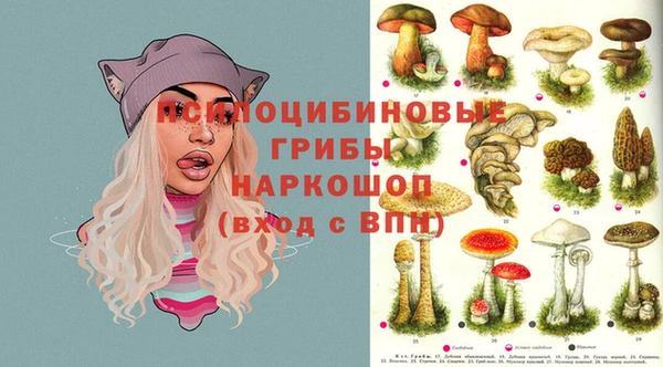 mdma Белокуриха