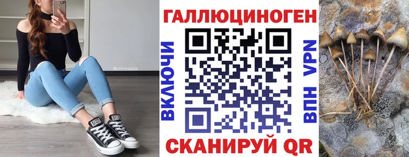 Псилоцибиновые грибы Psilocybine cubensis  купить наркотики сайты  Светлогорск 